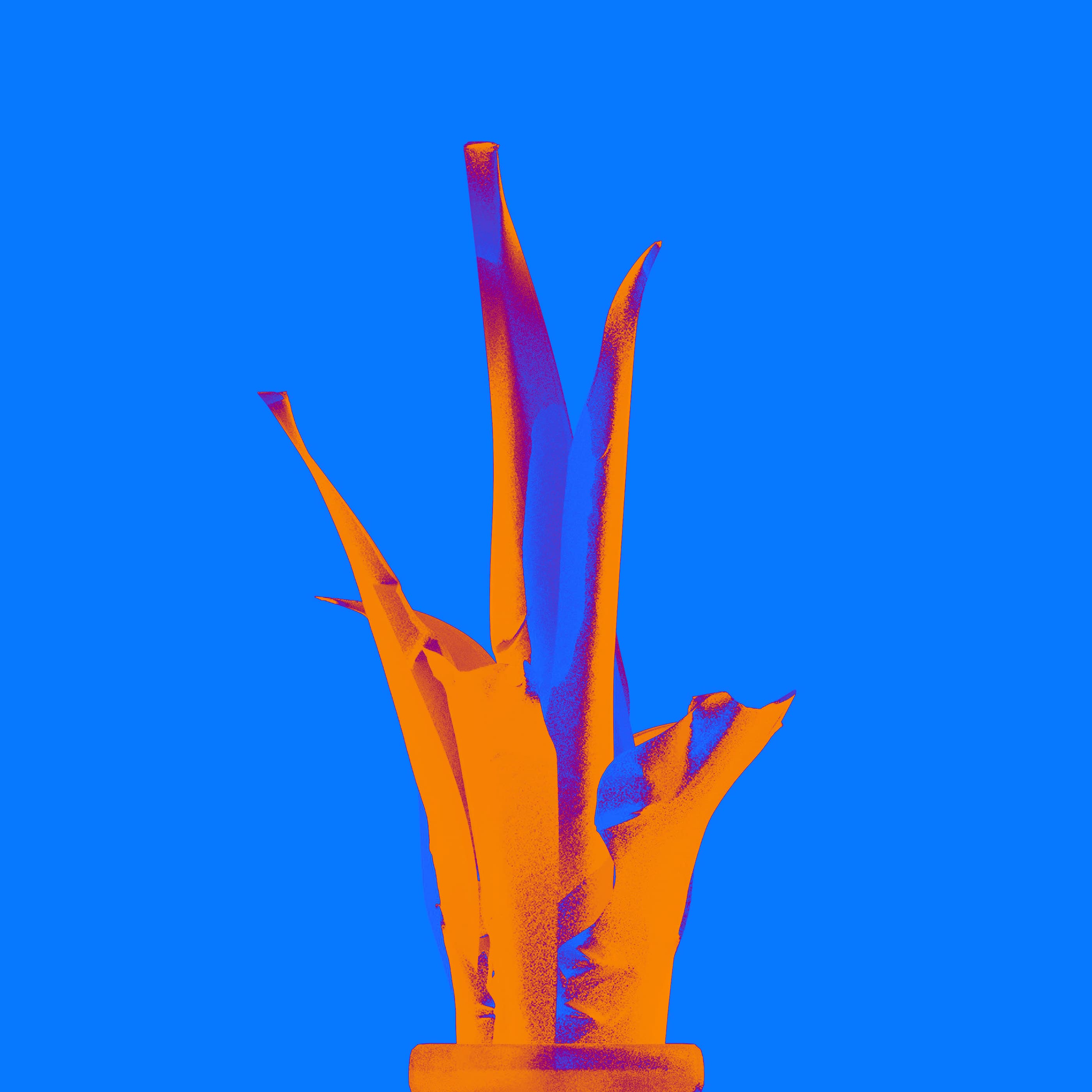Folium